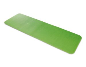 Airex Gymnastikmatte "Fitline 180"