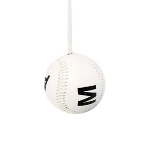 Artzt Neuro Trainingstool "Marsden Ball"