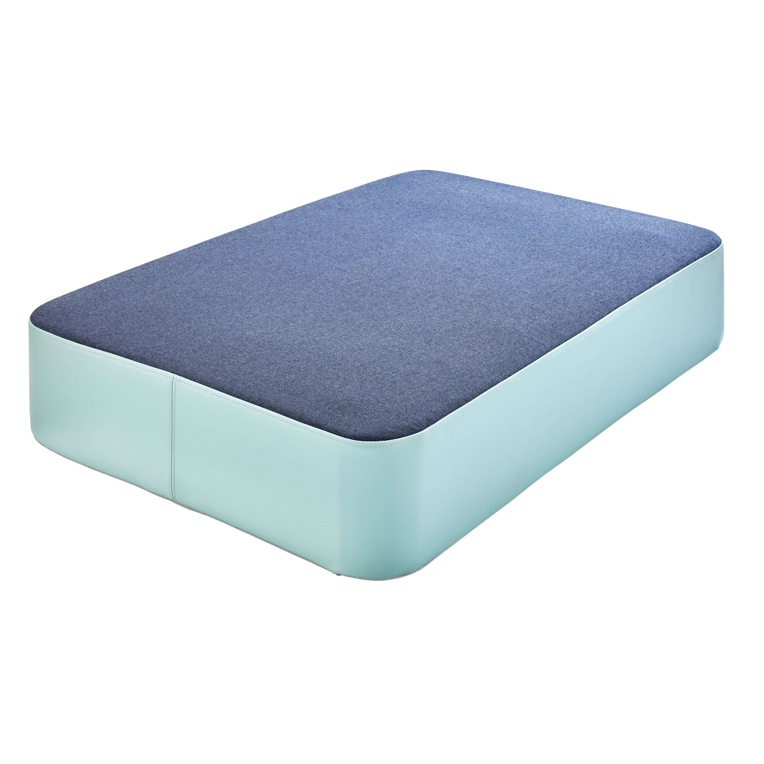 Dehler Hüpfkissen "Hipp-Hopp Indoor"