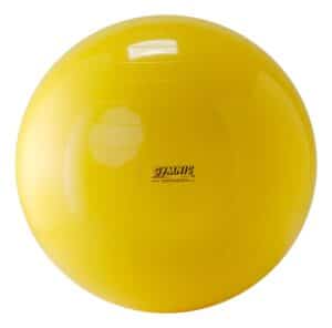 Gymnic Fitnessball