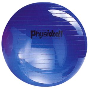 Ledragomma Fitnessball "Original Pezziball"