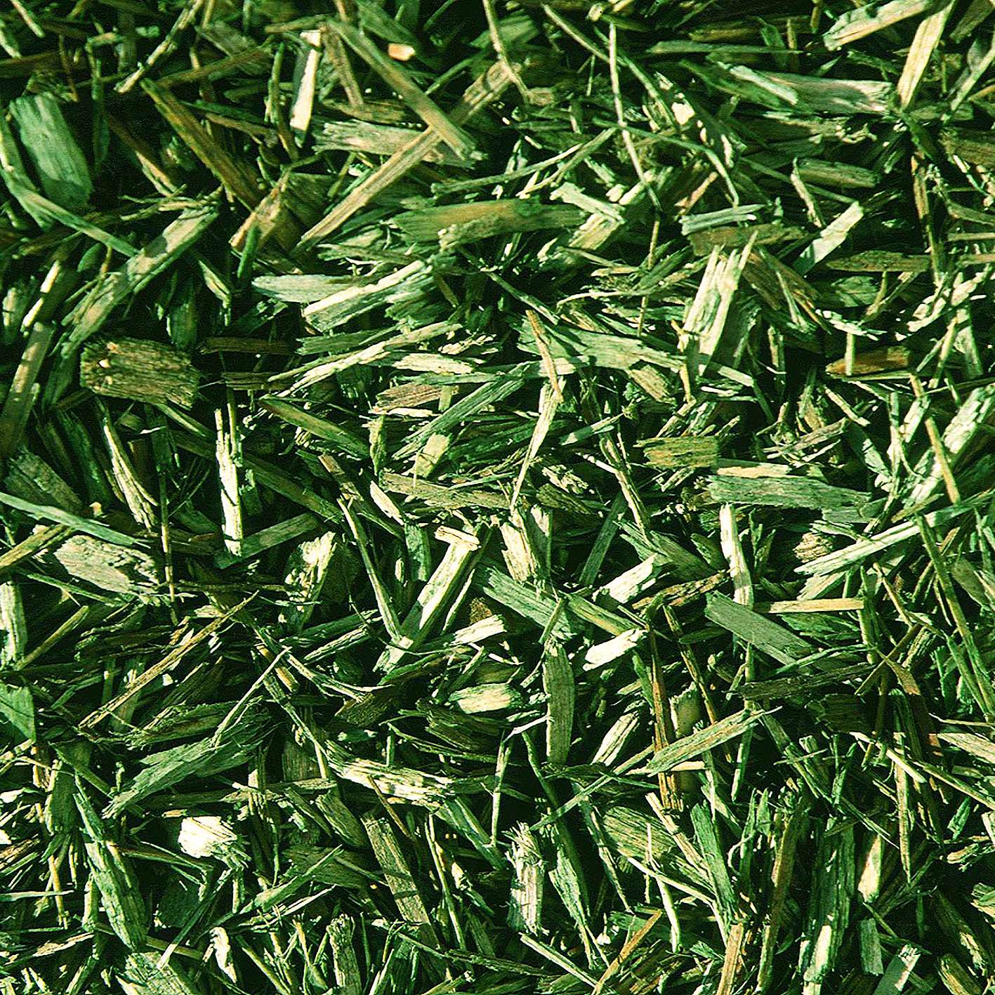 Öcocolor Fallschutz Holzschnitzel