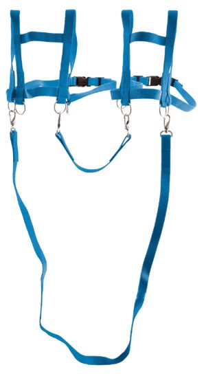 SportFit Laufleine "Zweispänner"