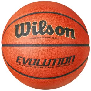 Wilson Basketball "Evolution"