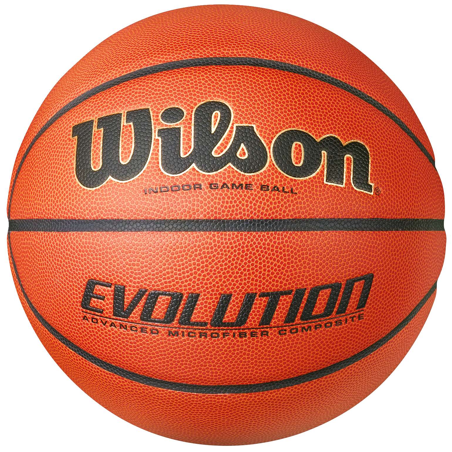 Wilson Basketball "Evolution"